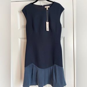 Rebecca’s Taylor Size 10 Dress